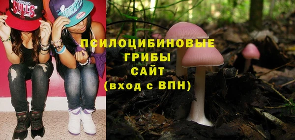 метадон Кинешма