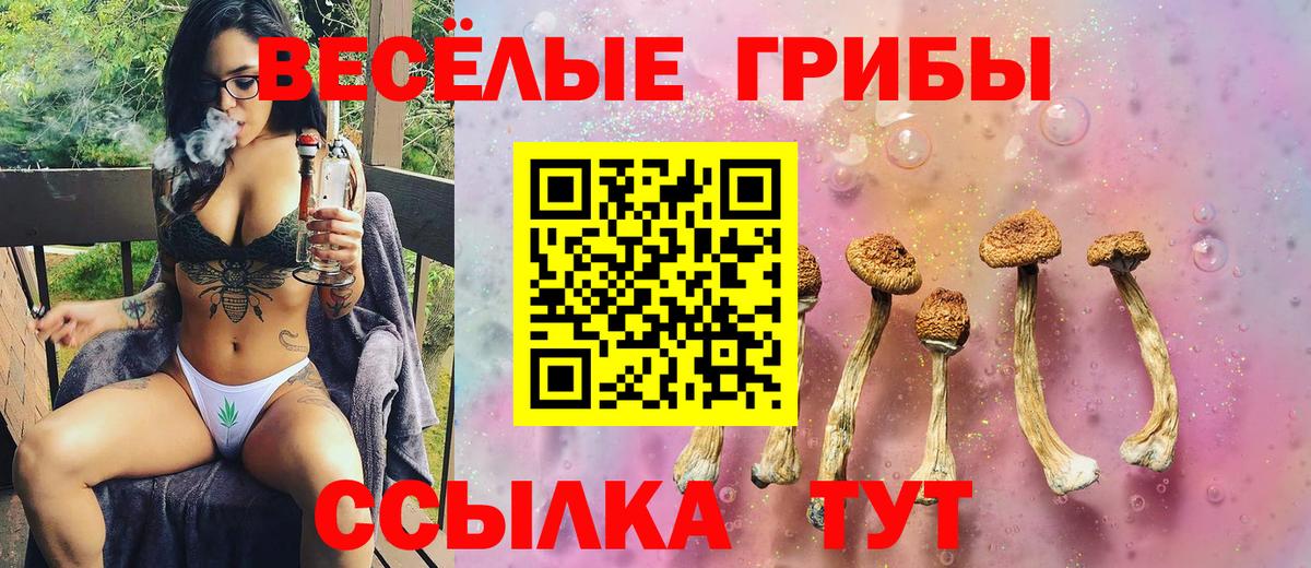 Псилоцибиновые грибы ЛСД Миасс