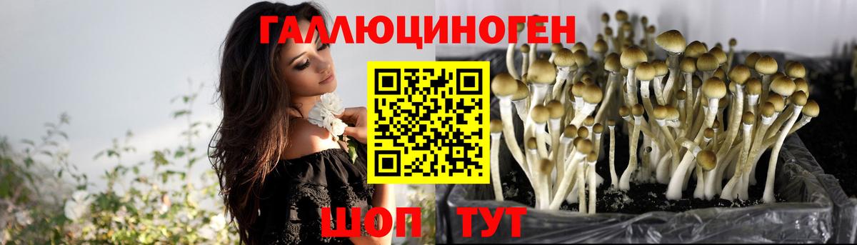 Миасс  Галлюциногенные грибы мицелий  Вход с VPN 