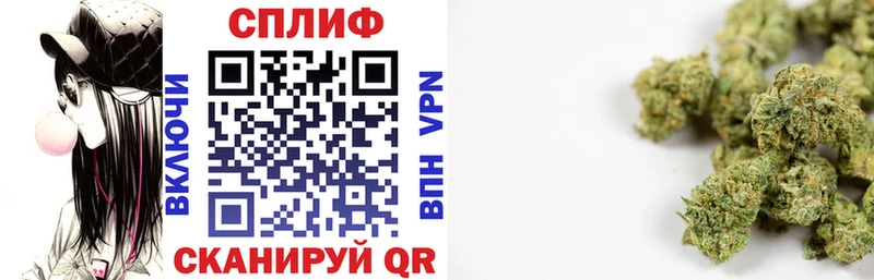 дарнет шоп  Миасс  Каннабис сатива 